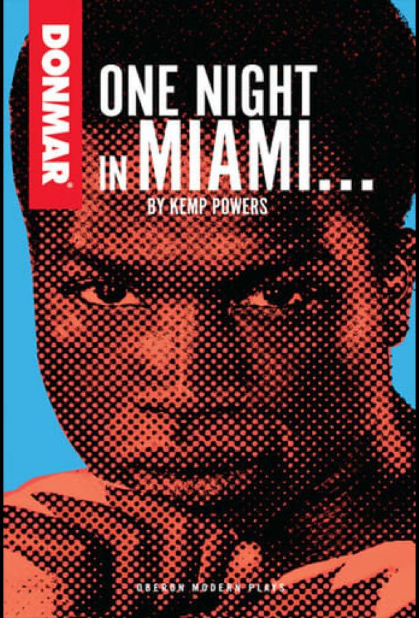 Одна ночь в Майами (2020)